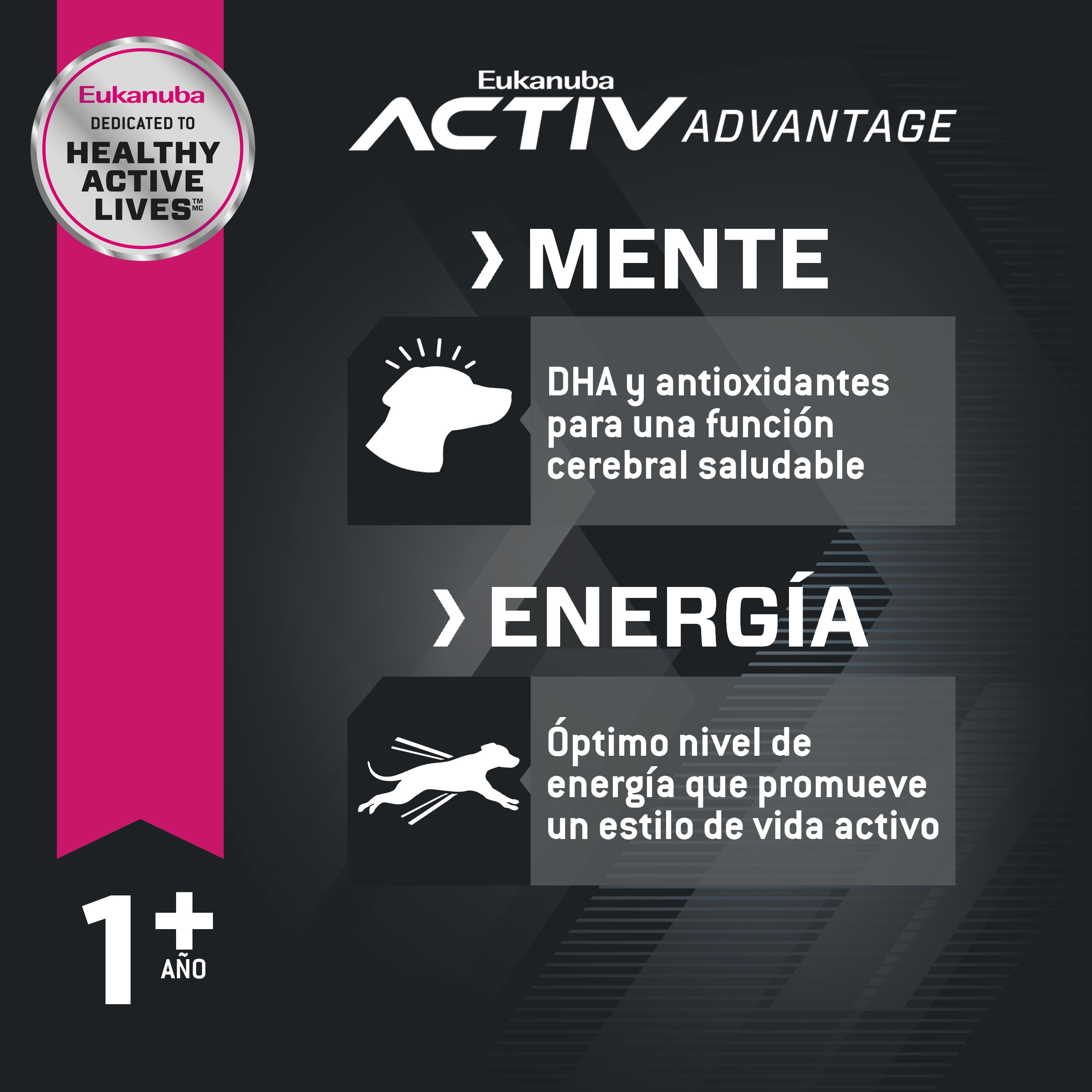 eukanuba-medium-adulto