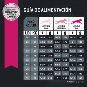 eukanuba-medium-adulto
