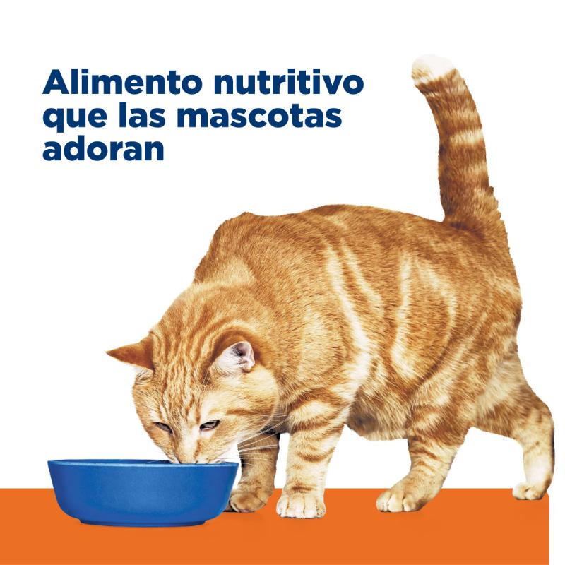 hills-prescription-diet-cd-cuidado-urinario-gato