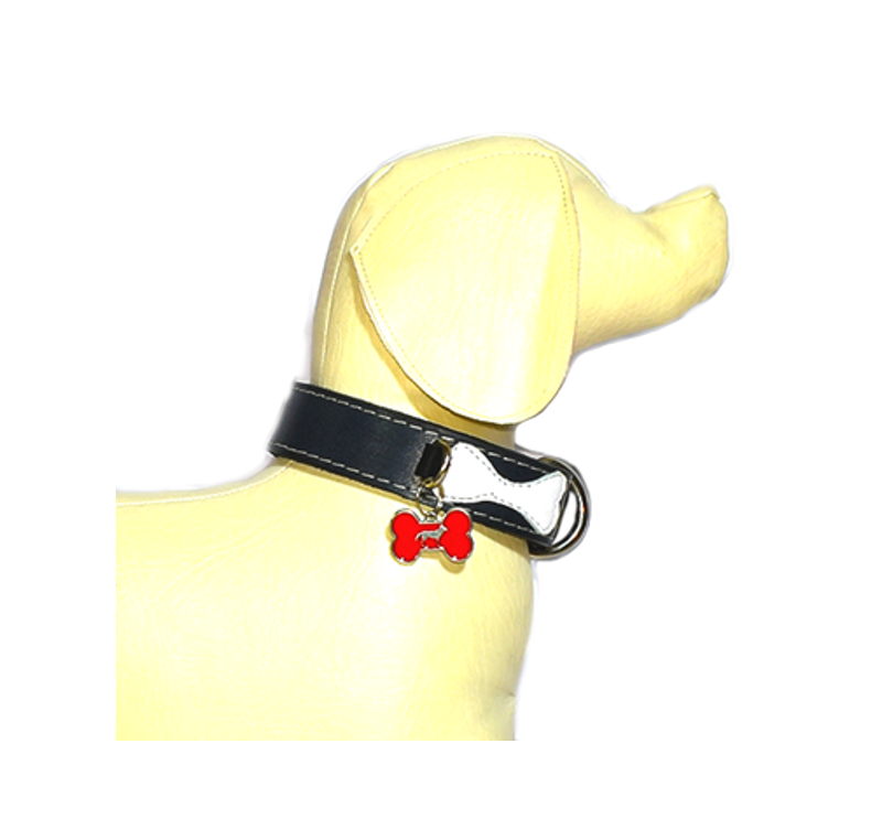 dalmatas-collar-placa-colgante-cuero