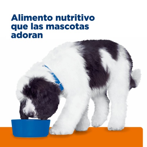 hills-prescription-diet-cd-alimento-para-perro-cuidado-urinario