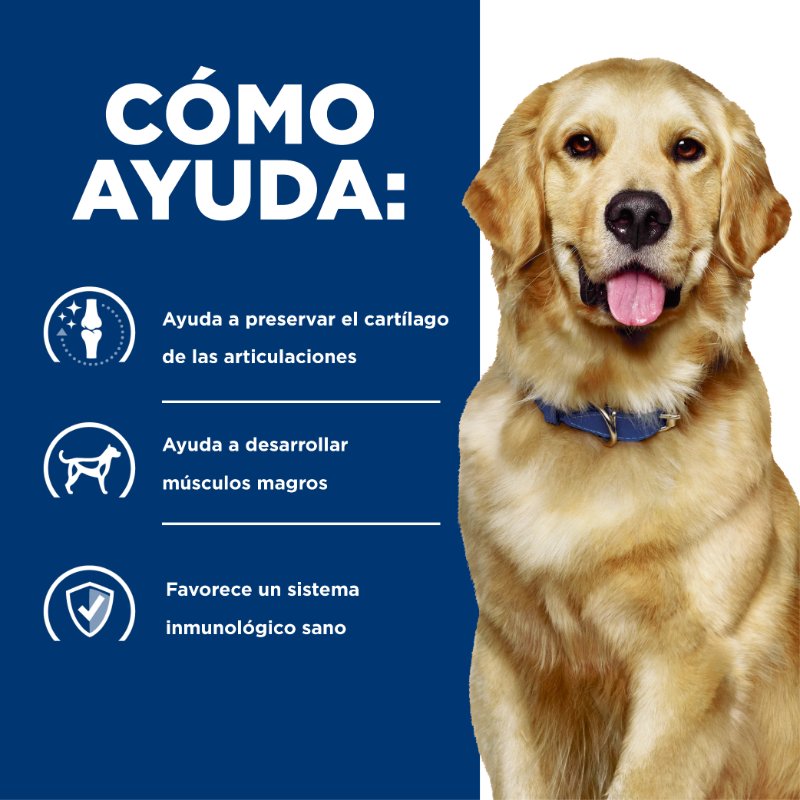 hills-prescription-diet-jd-cuidado-de-la-movilidad