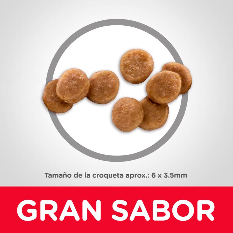 hills-science-diet-alimento-gatito-kitten