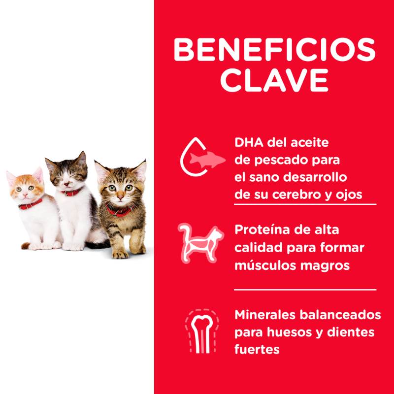 hills-science-diet-alimento-gatito-kitten