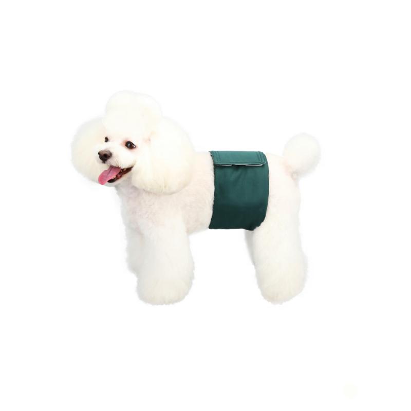 valentin-for-pets-panal-absorbente-para-macho-verde