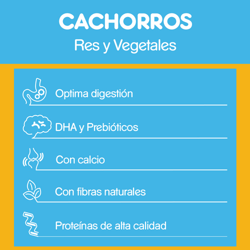 pedigree-alimento-para-perro-cachorro