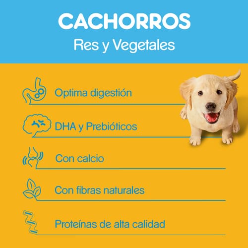 pedigree-alimento-para-perro-cachorro