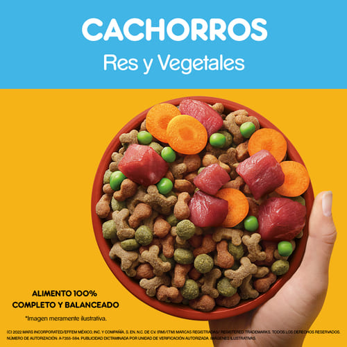 pedigree-alimento-para-perro-cachorro