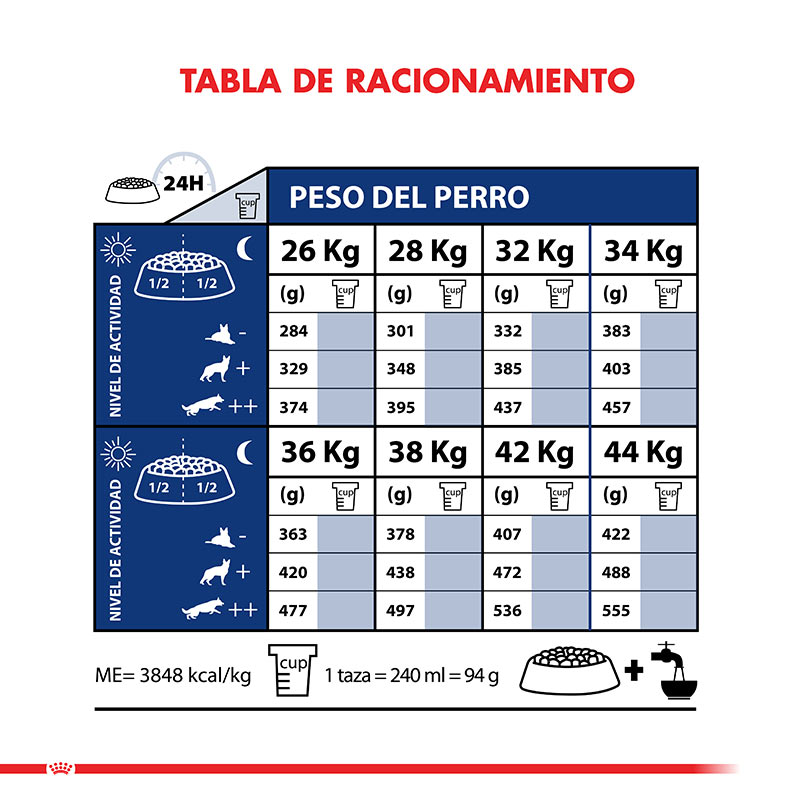 royal-canin-maxi-adulto-8-ageing