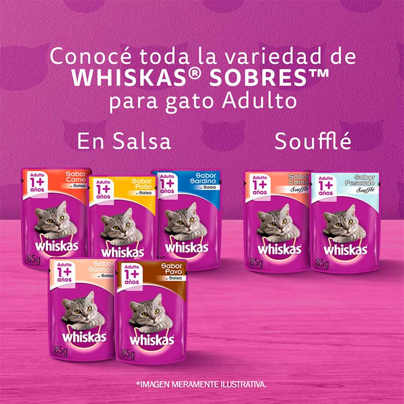 whiskas-alimento-seco-para-gato-adulto-sabor-carne