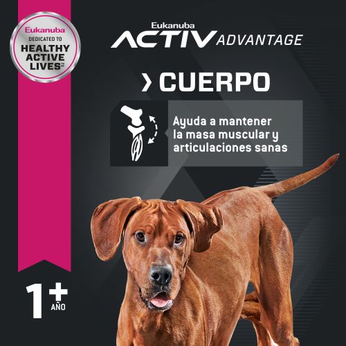 eukanuba-adulto-raza-grande-cordero