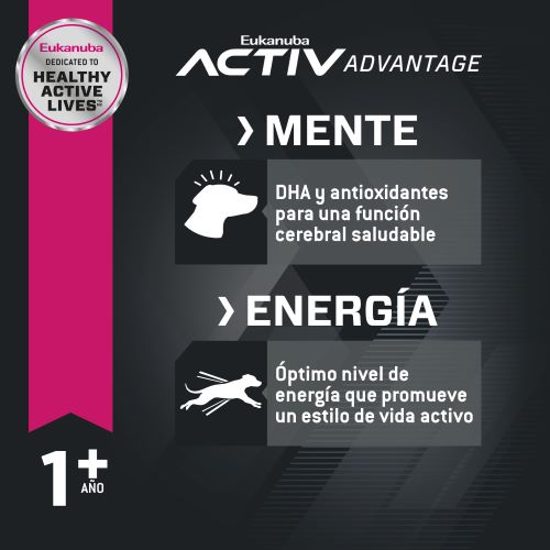 eukanuba-adulto-raza-grande-cordero