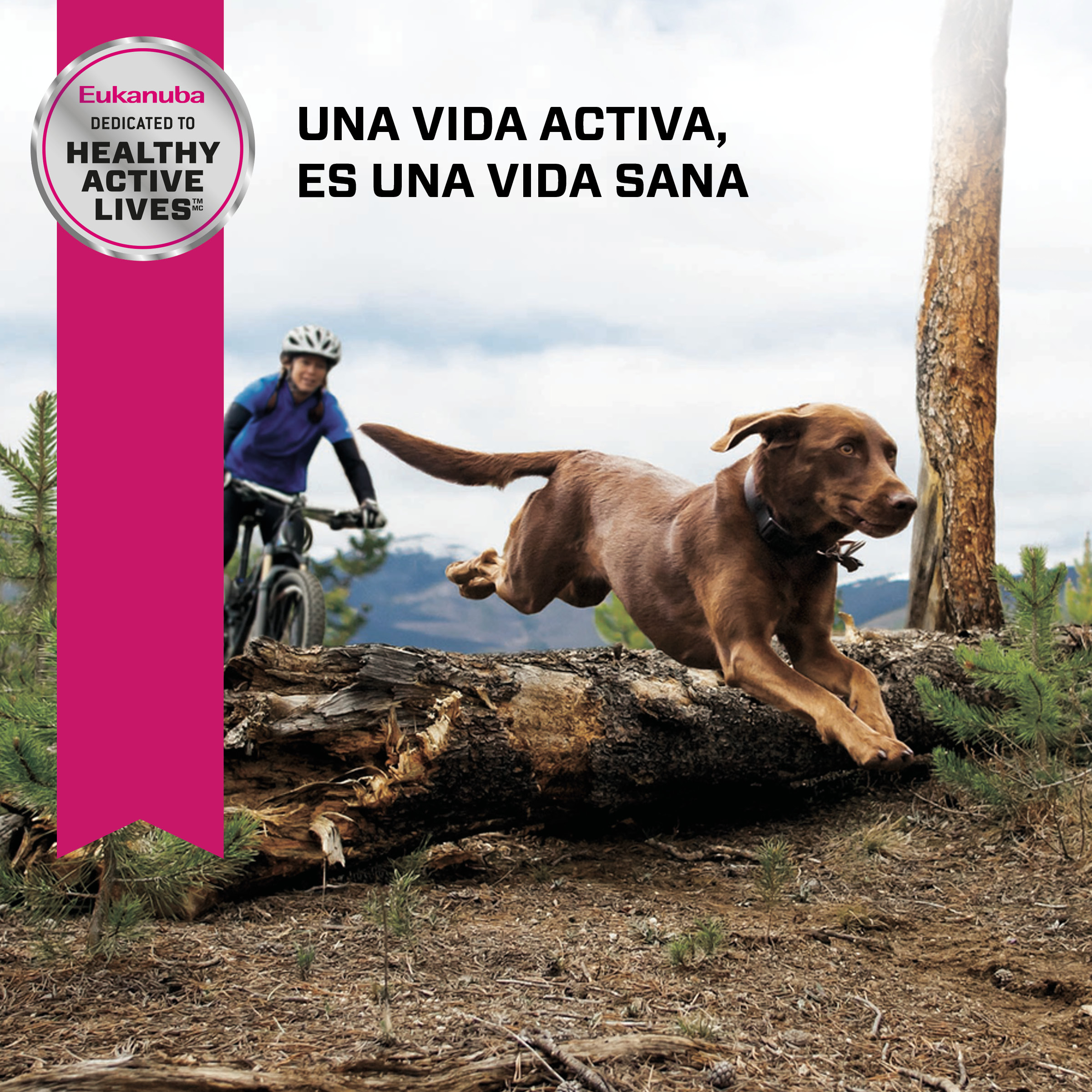 eukanuba-adulto-raza-grande-cordero