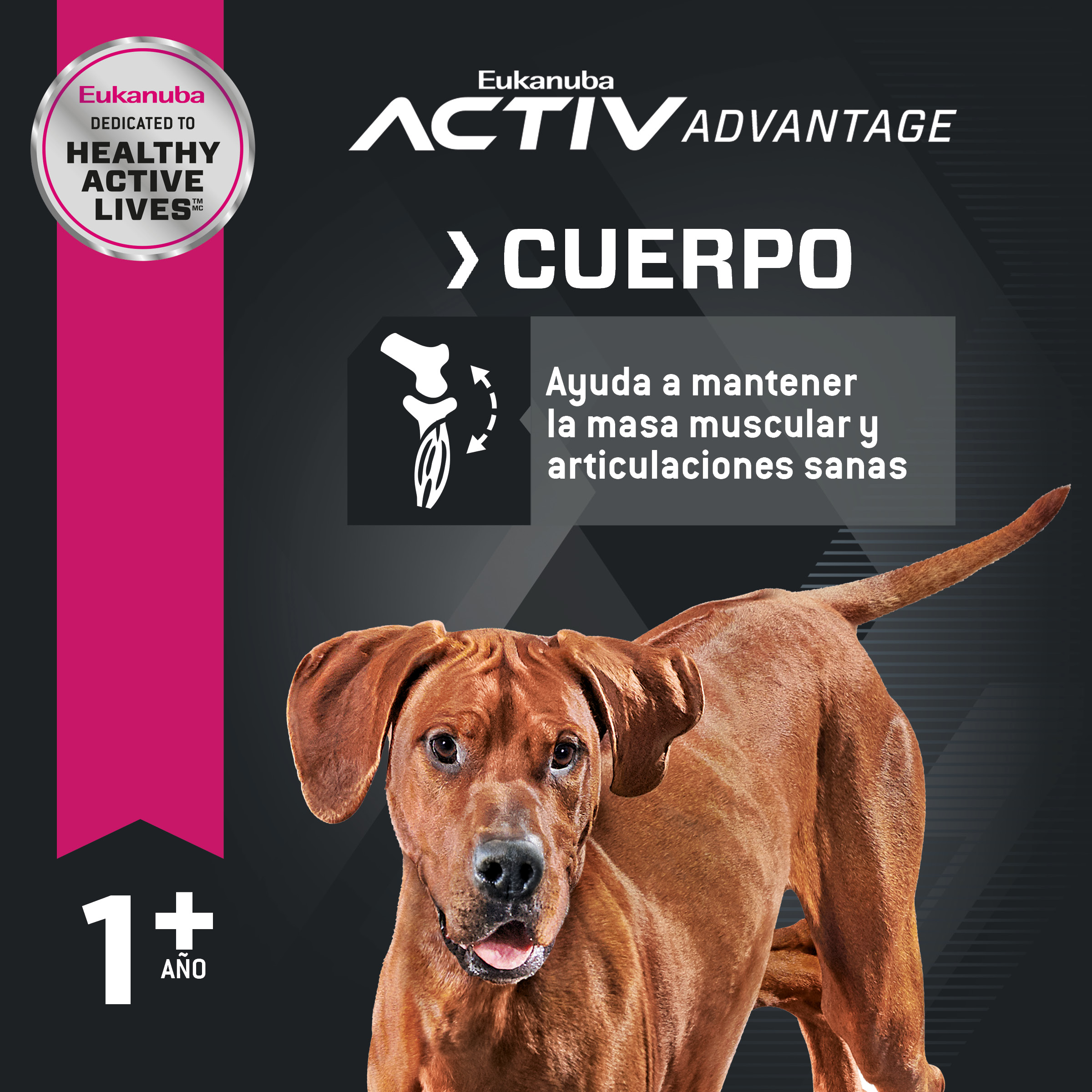 eukanuba-adulto-raza-grande-cordero