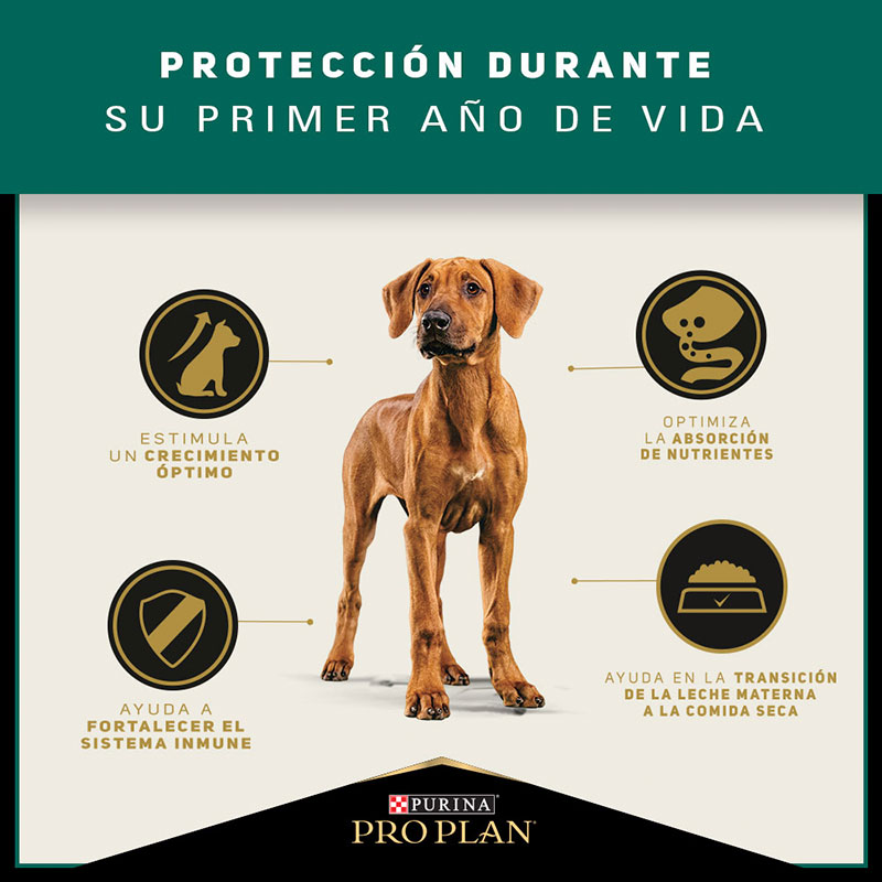 pro-plan-dog-puppy-optistart-raza-grande