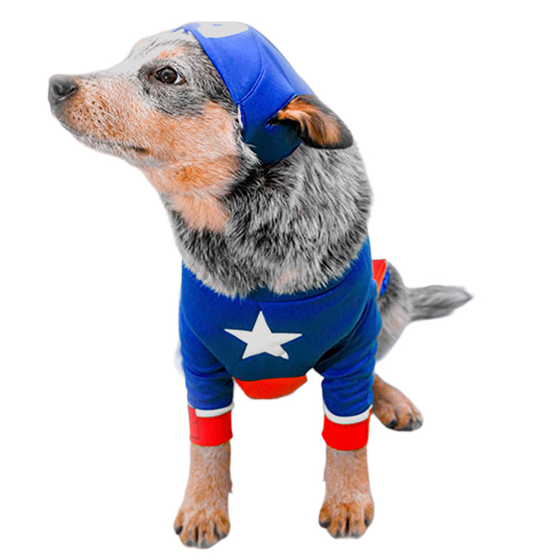 cachivaques-disfraz-capitan-america-mascota-marvel