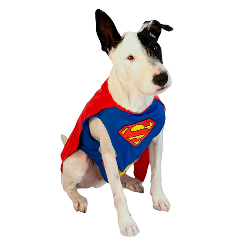cachivaques-disfraz-superman-mascota-warner