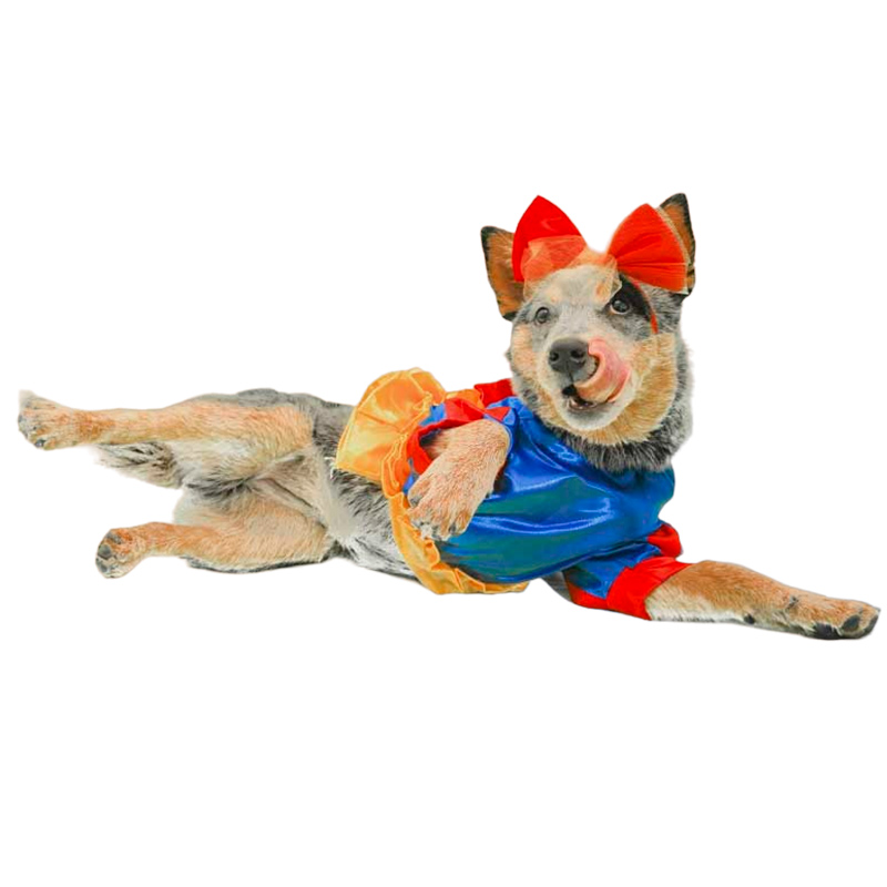 cachivaques-disfraz-blanca-nieves-mascota-disney