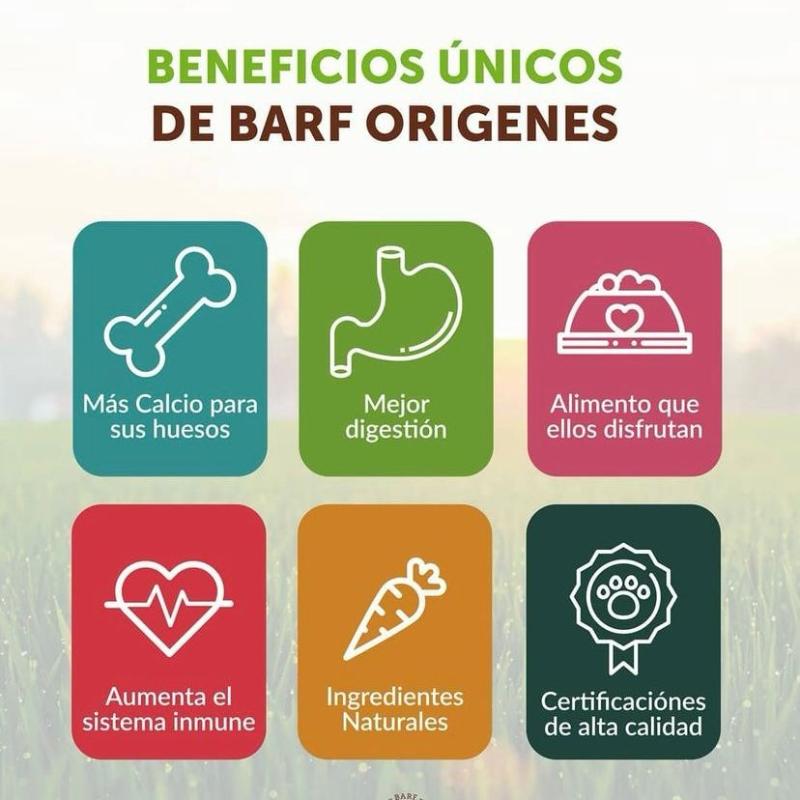 origenes-menu-llano-res