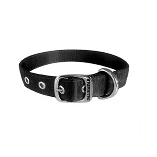 dalmatas-collar-liso-reata