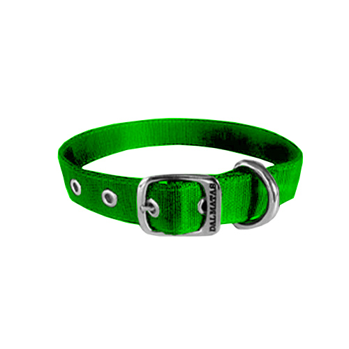 dalmatas-collar-liso-reata