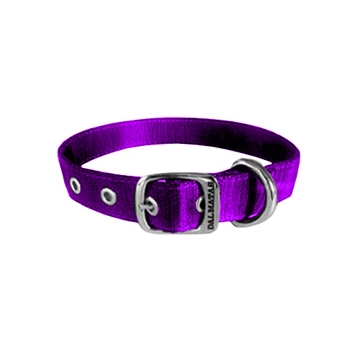 dalmatas-collar-liso-reata