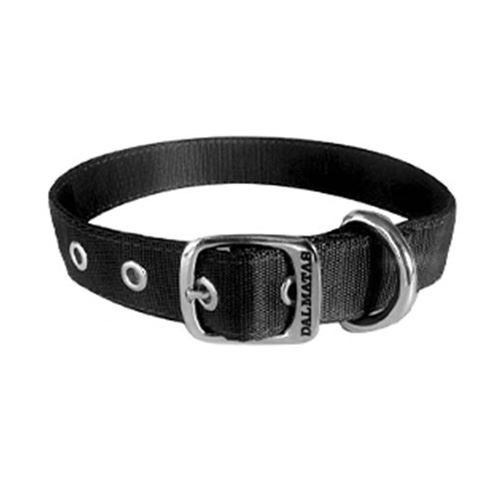 dalmatas-collar-liso-reata