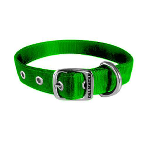 dalmatas-collar-liso-reata