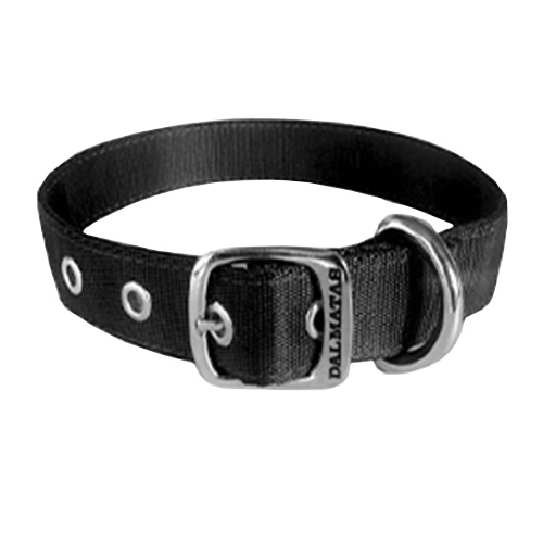 dalmatas-collar-liso-reata