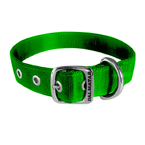 dalmatas-collar-liso-reata