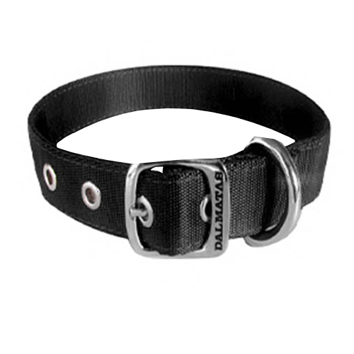 dalmatas-collar-liso-reata