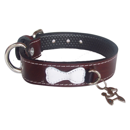 dalmatas-collar-placa-colgante-cuero