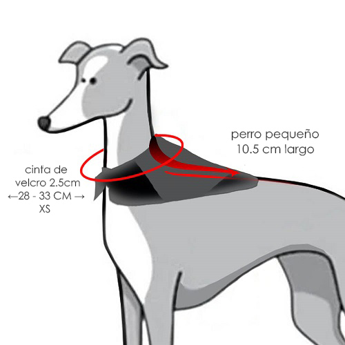 dalmatas-panoleta-reflectiva
