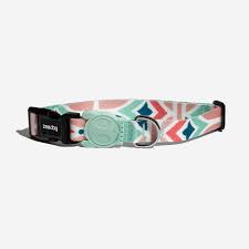 ZeeDog Marcuch Collar
