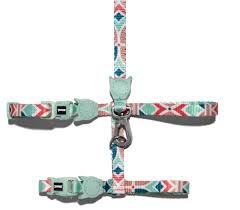 ZeeDog Marcuch Arnés + Leash Cat