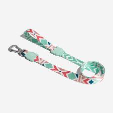 ZeeDog Marcuch Leash