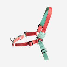 ZeeDog Zahara Soft-Walk Arnés