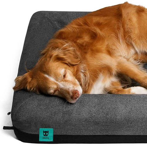 zeedog-cama-para-perro-bed-skull