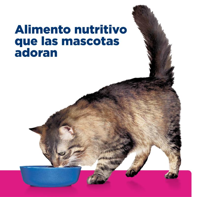 hills-prescription-diet-gi-biome-gastrointestinal-gato