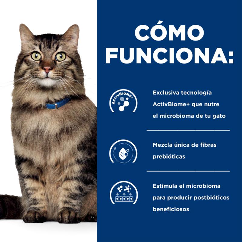 hills-prescription-diet-gi-biome-gastrointestinal-gato