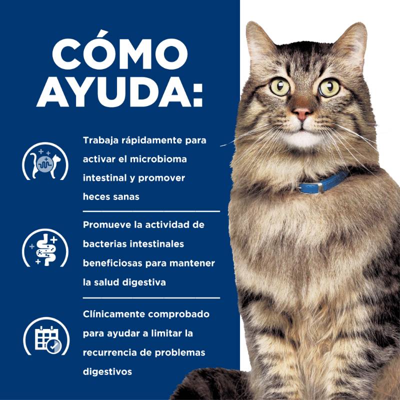 hills-prescription-diet-gi-biome-gastrointestinal-gato