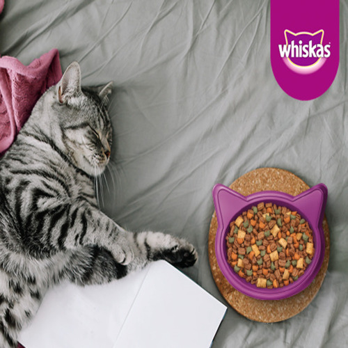 whiskas-alimento-para-gato-adulto-carne