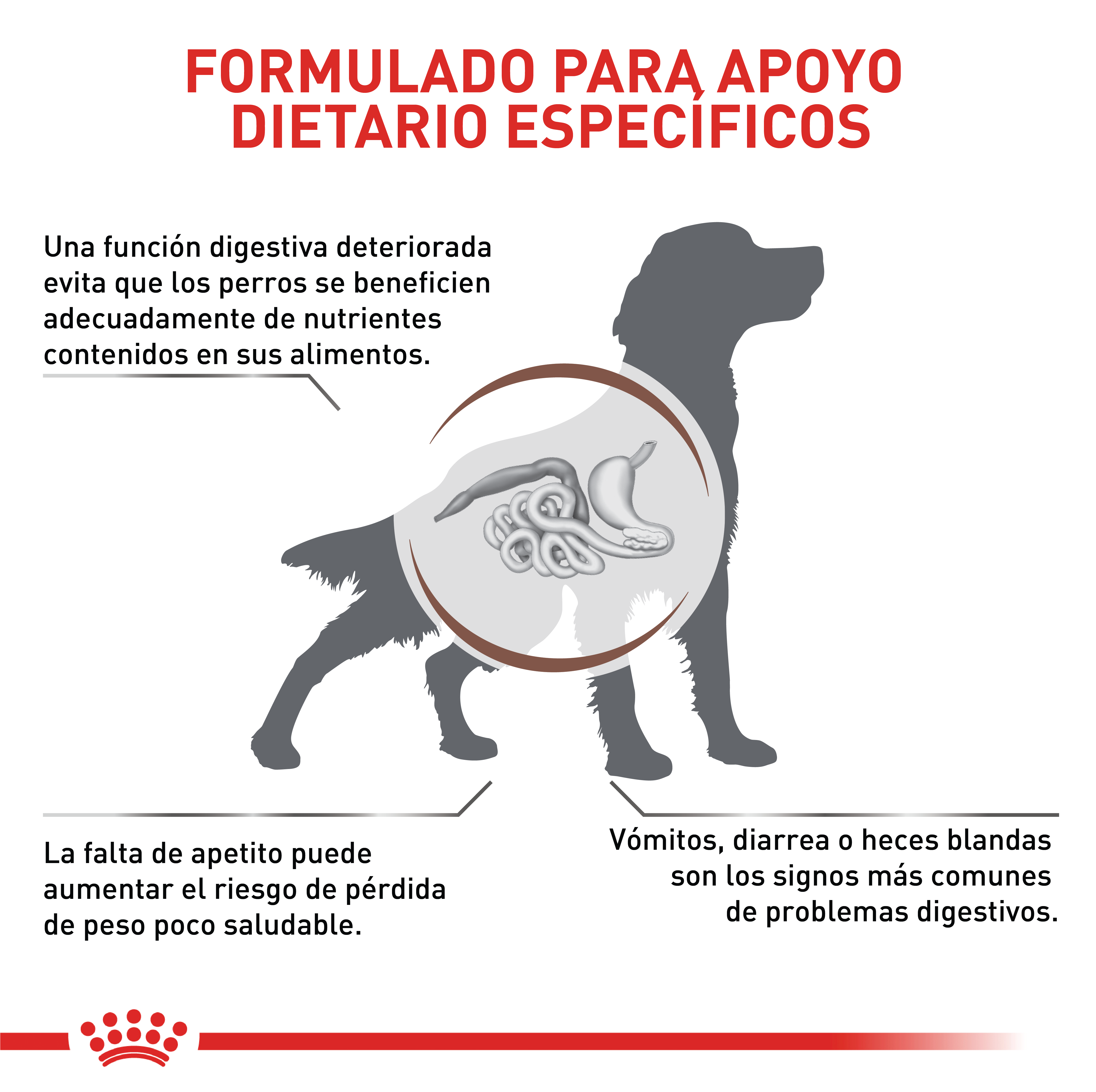 royal-canin-gastro-intestinal-dog