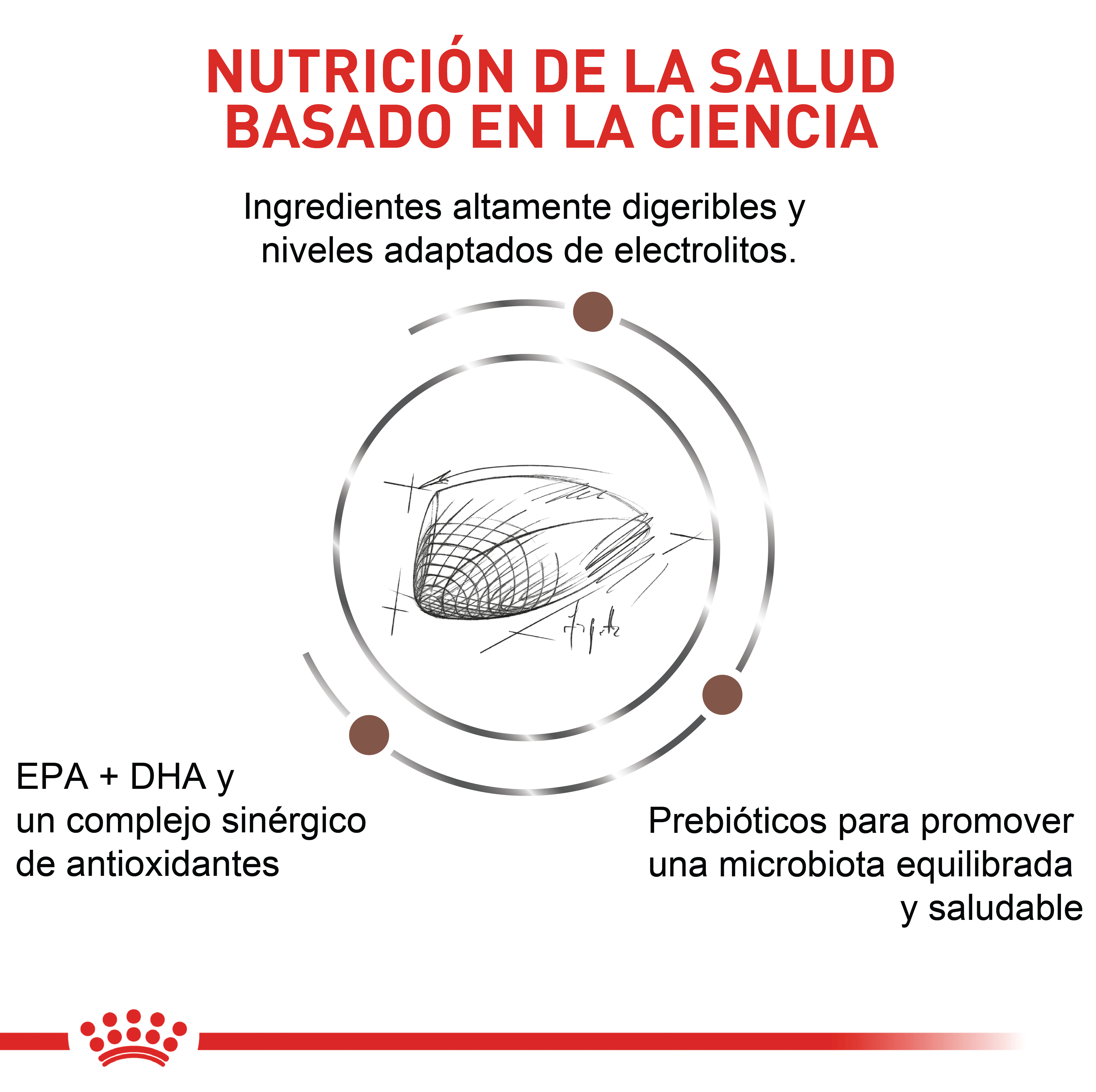 royal-canin-gastro-intestinal-dog