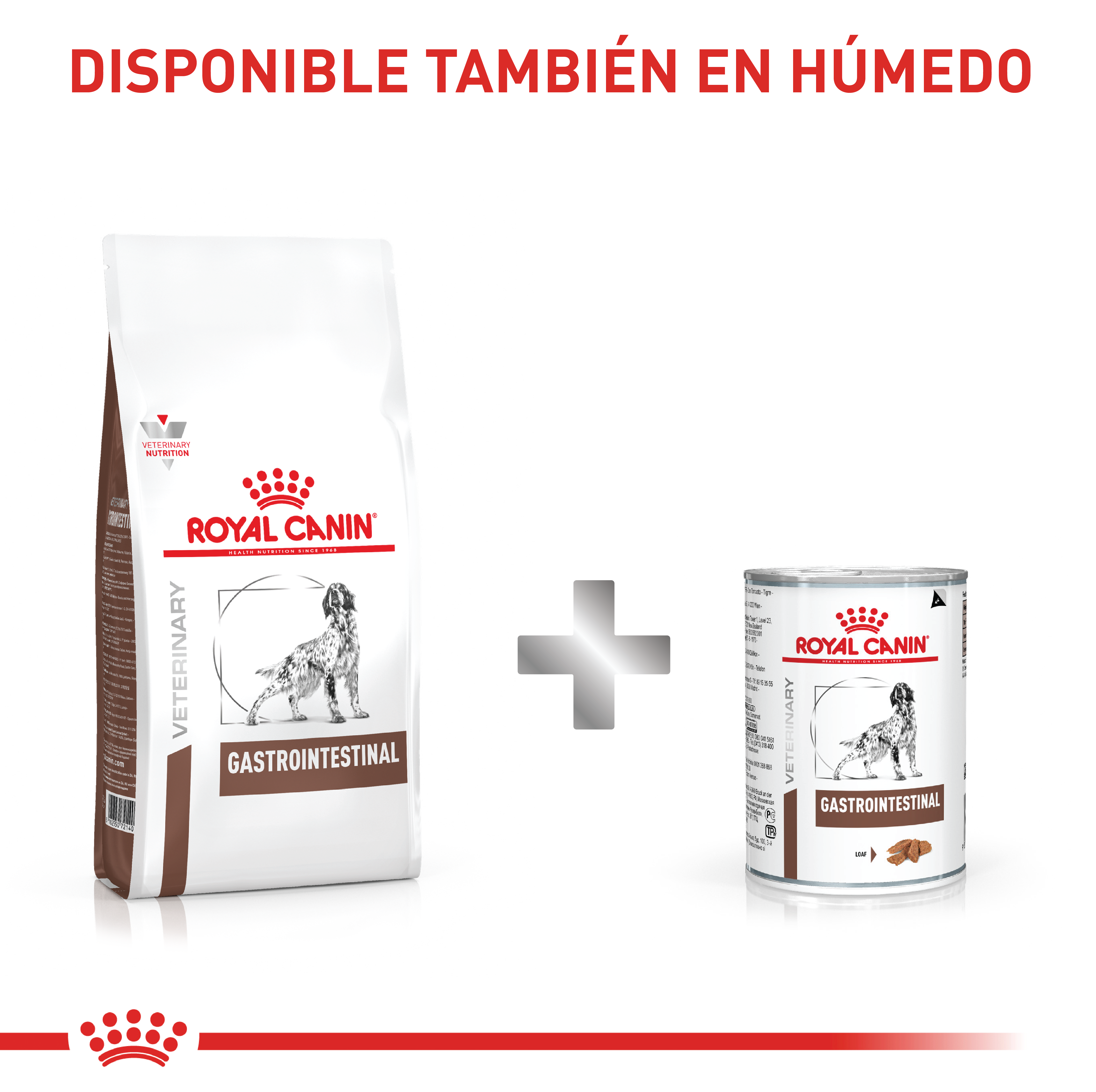 royal-canin-gastro-intestinal-dog