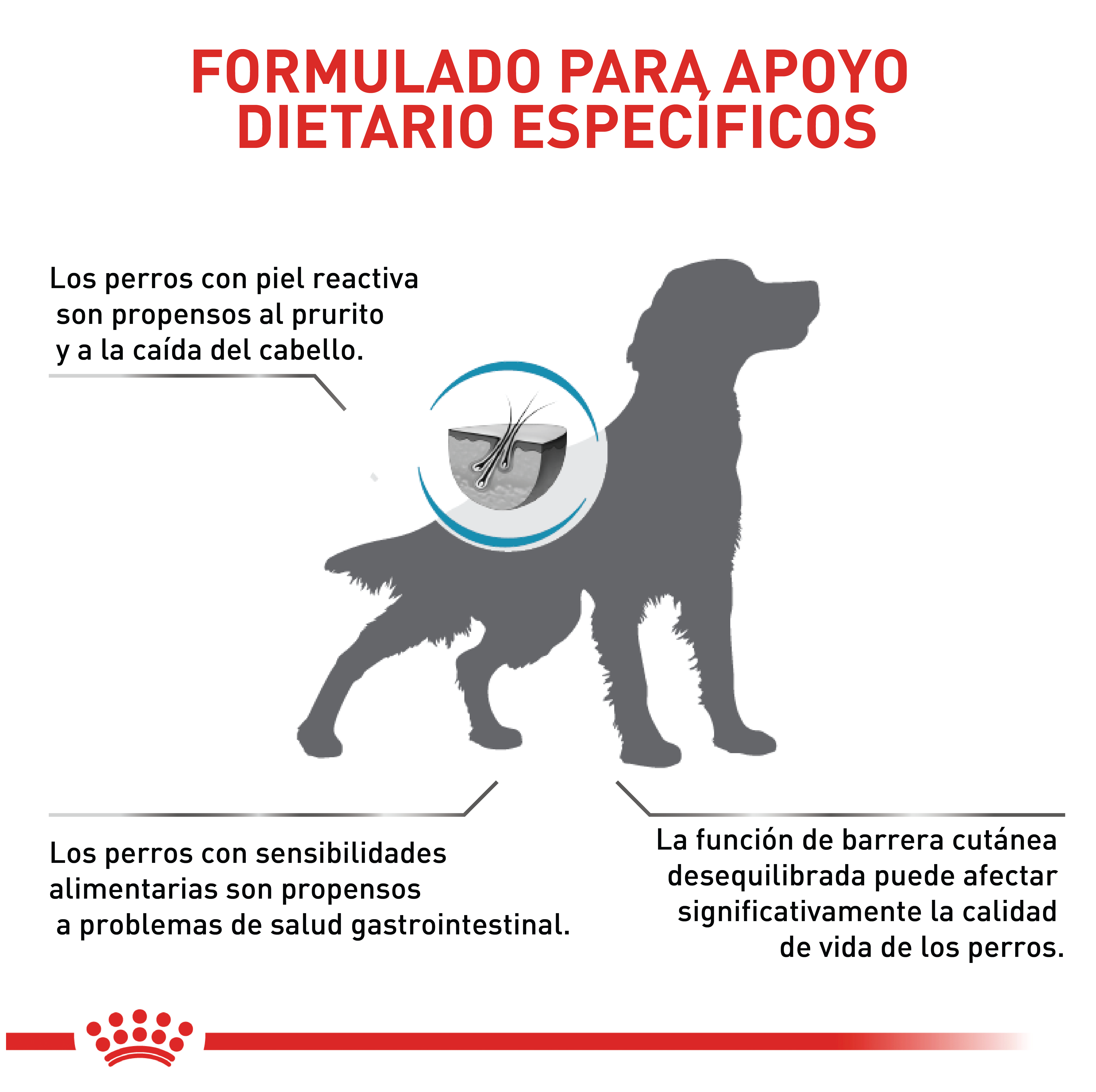 royal-canin-skin-care-dog