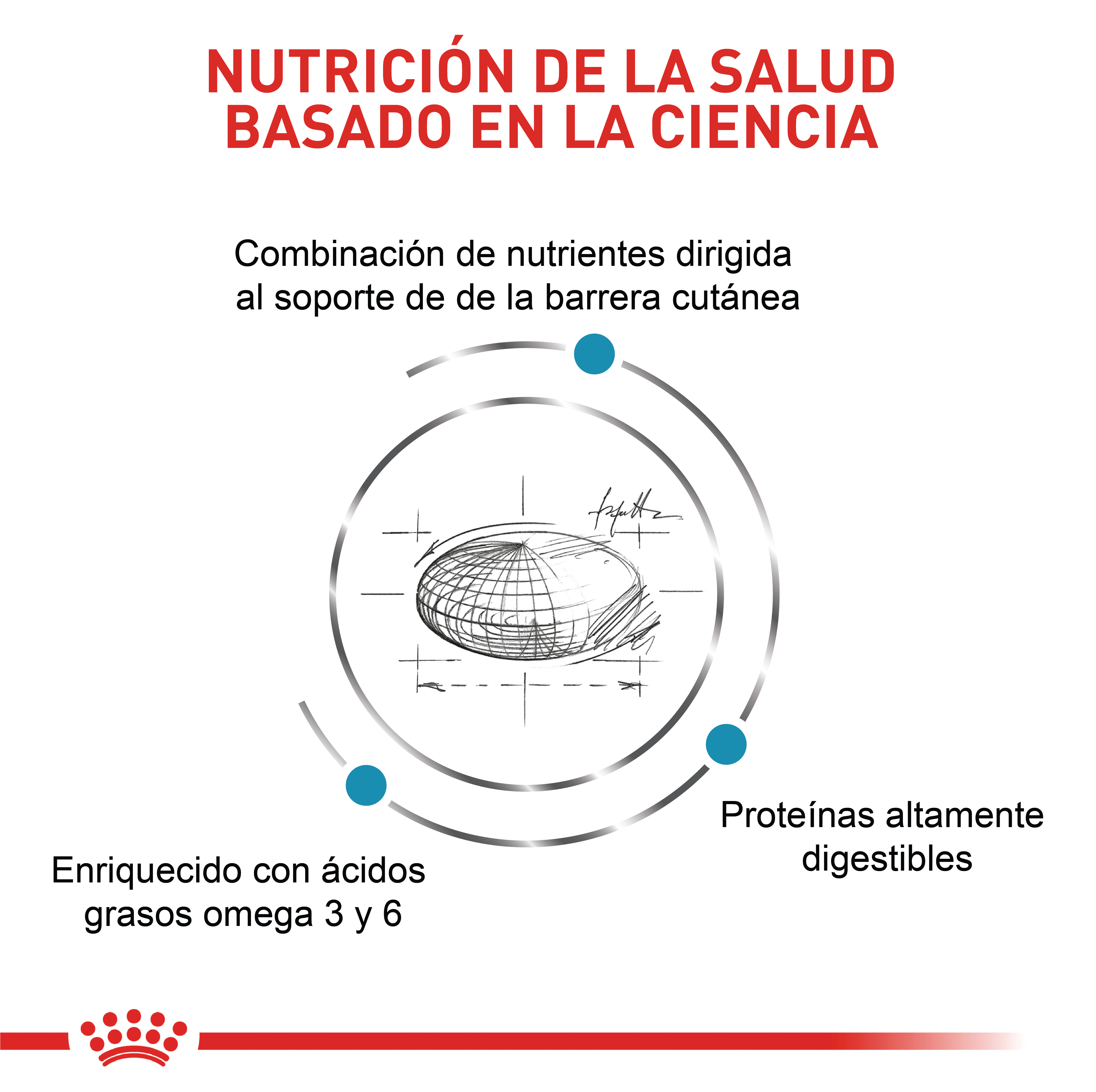 royal-canin-skin-care-dog