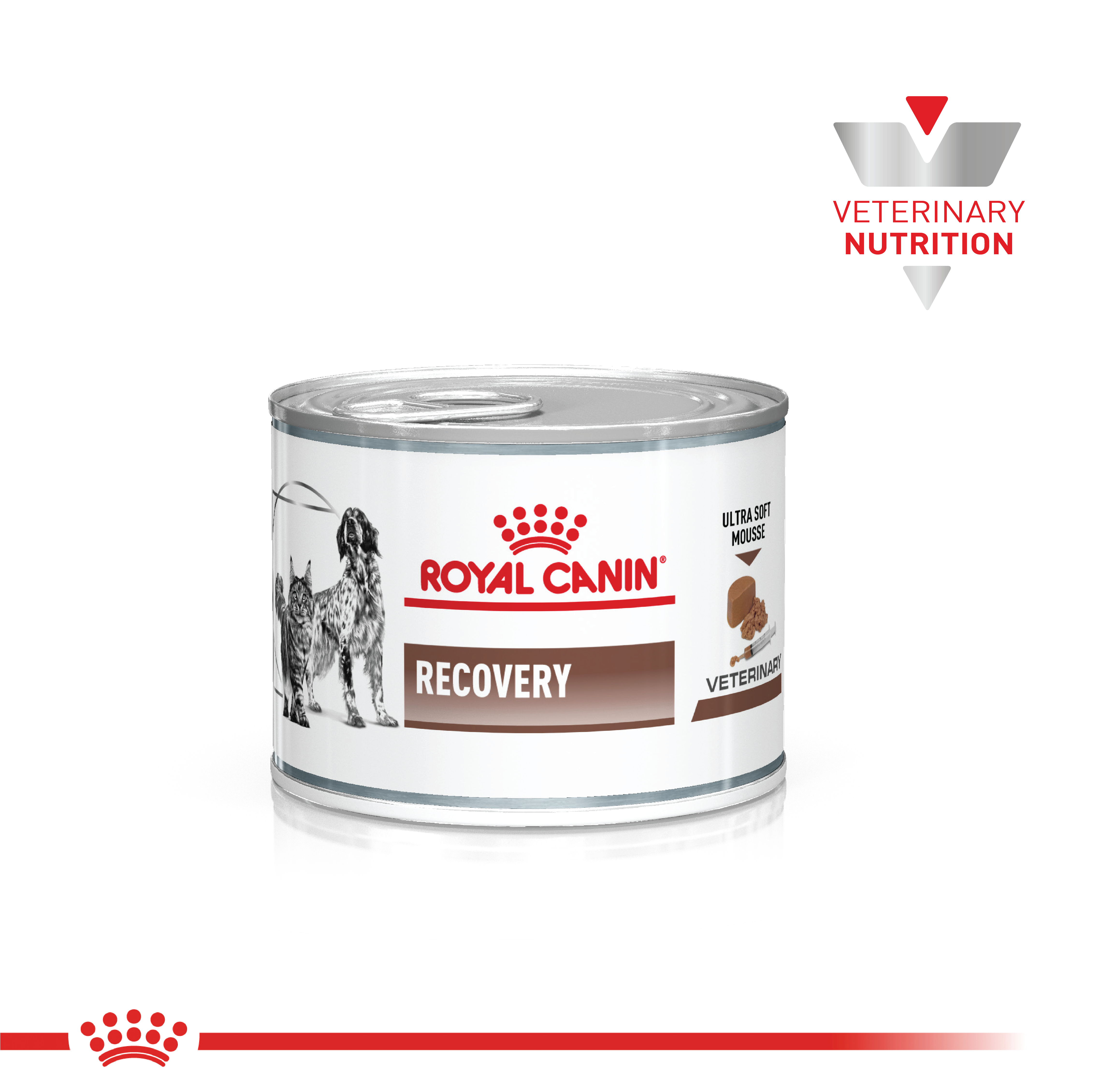 Royal Canin Recovery Wet