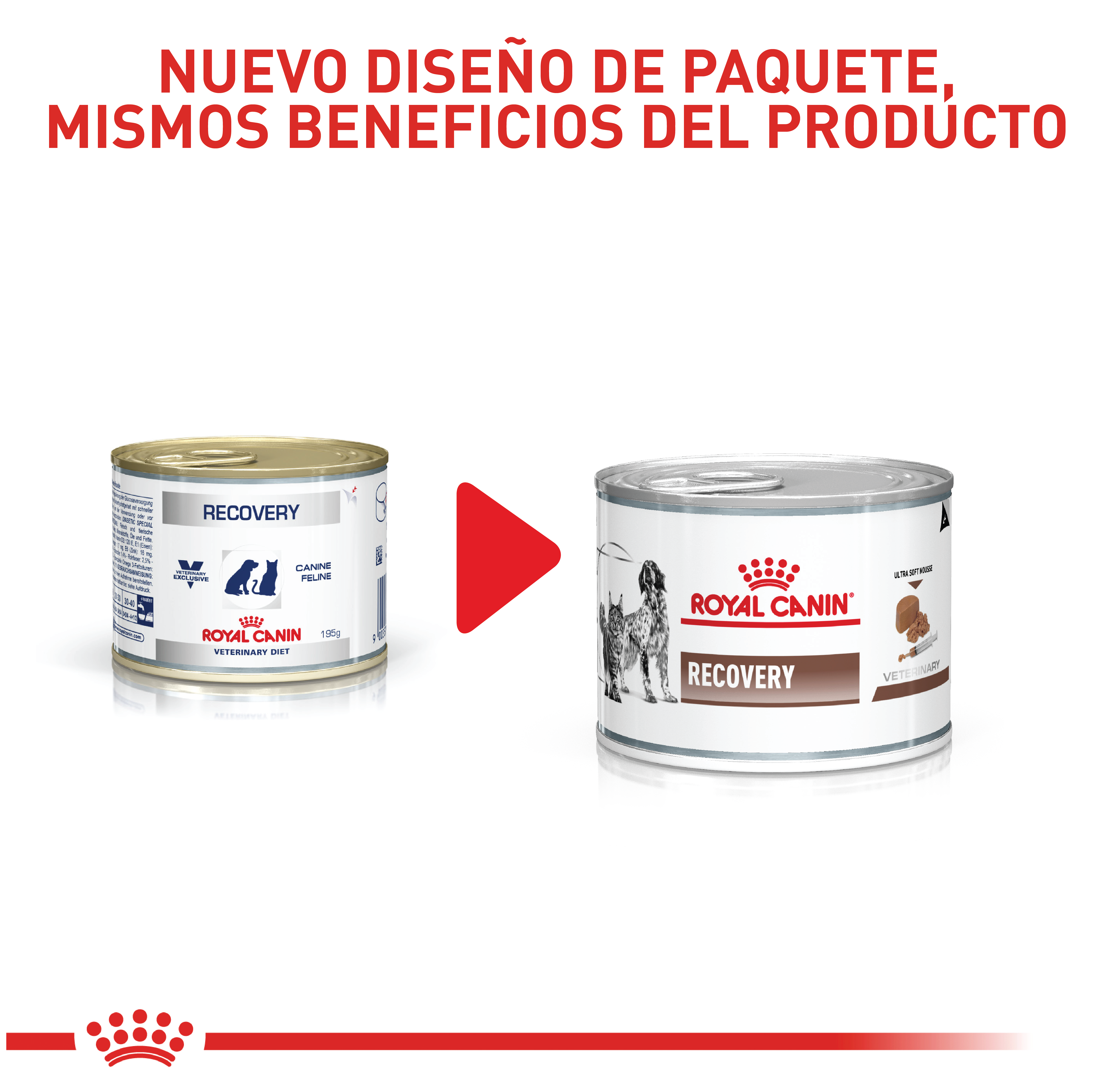 royal-canin-recovery-wet