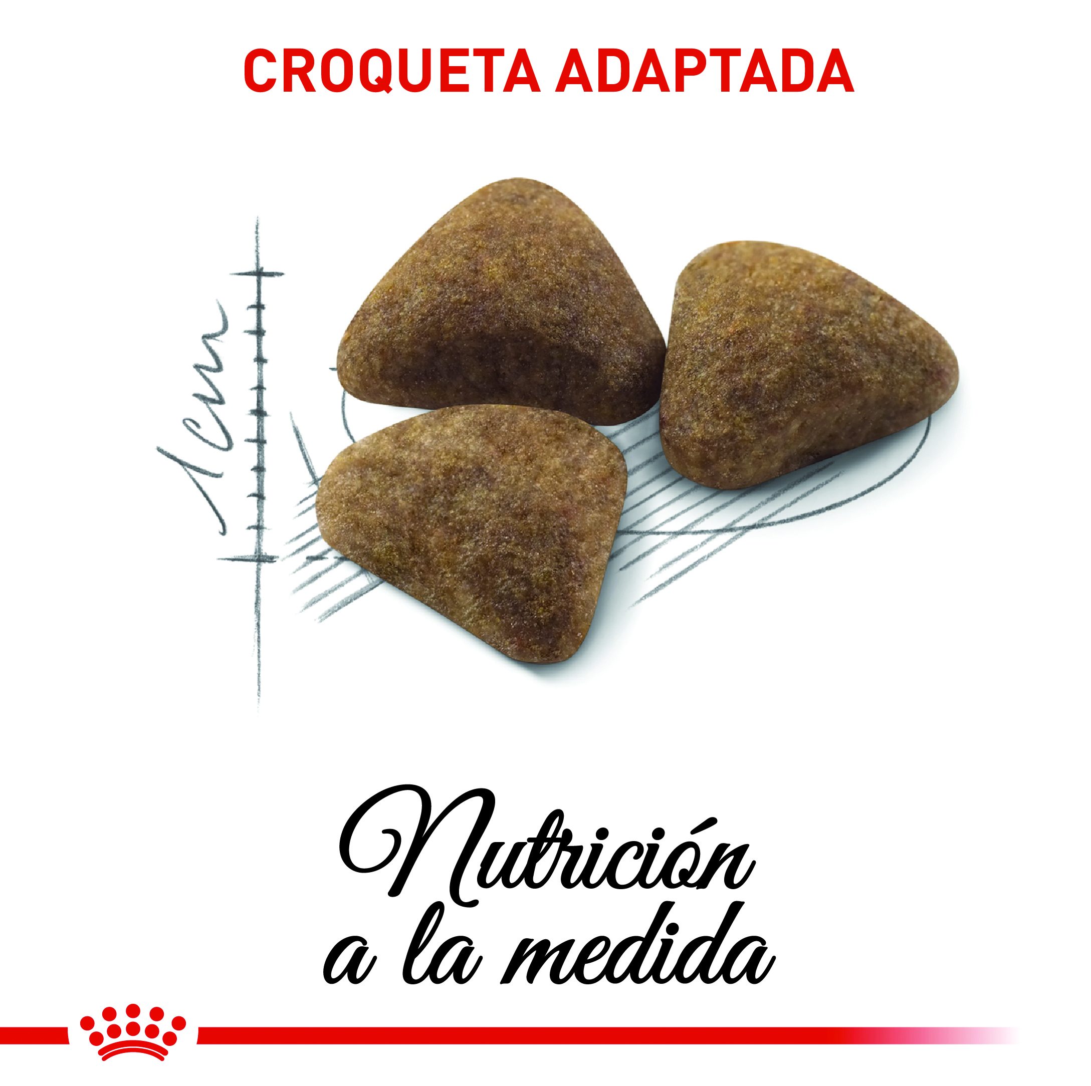 royal-canin-indoor27-adult